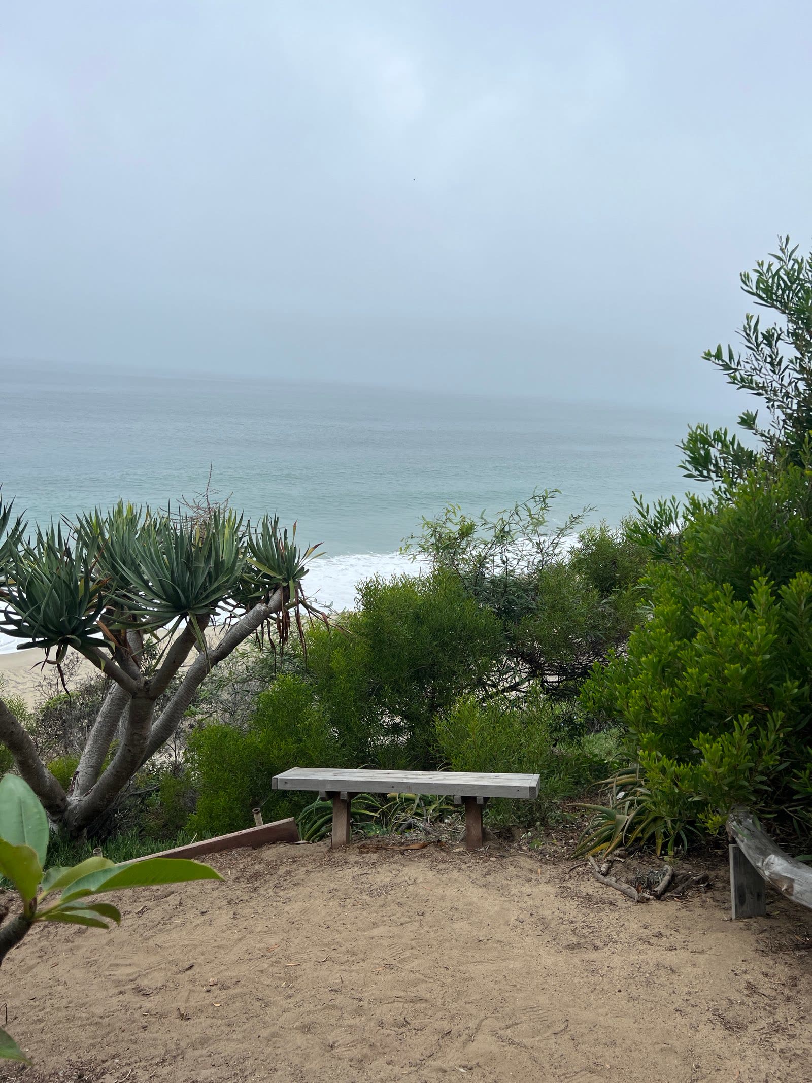Redondo Beach photo 2