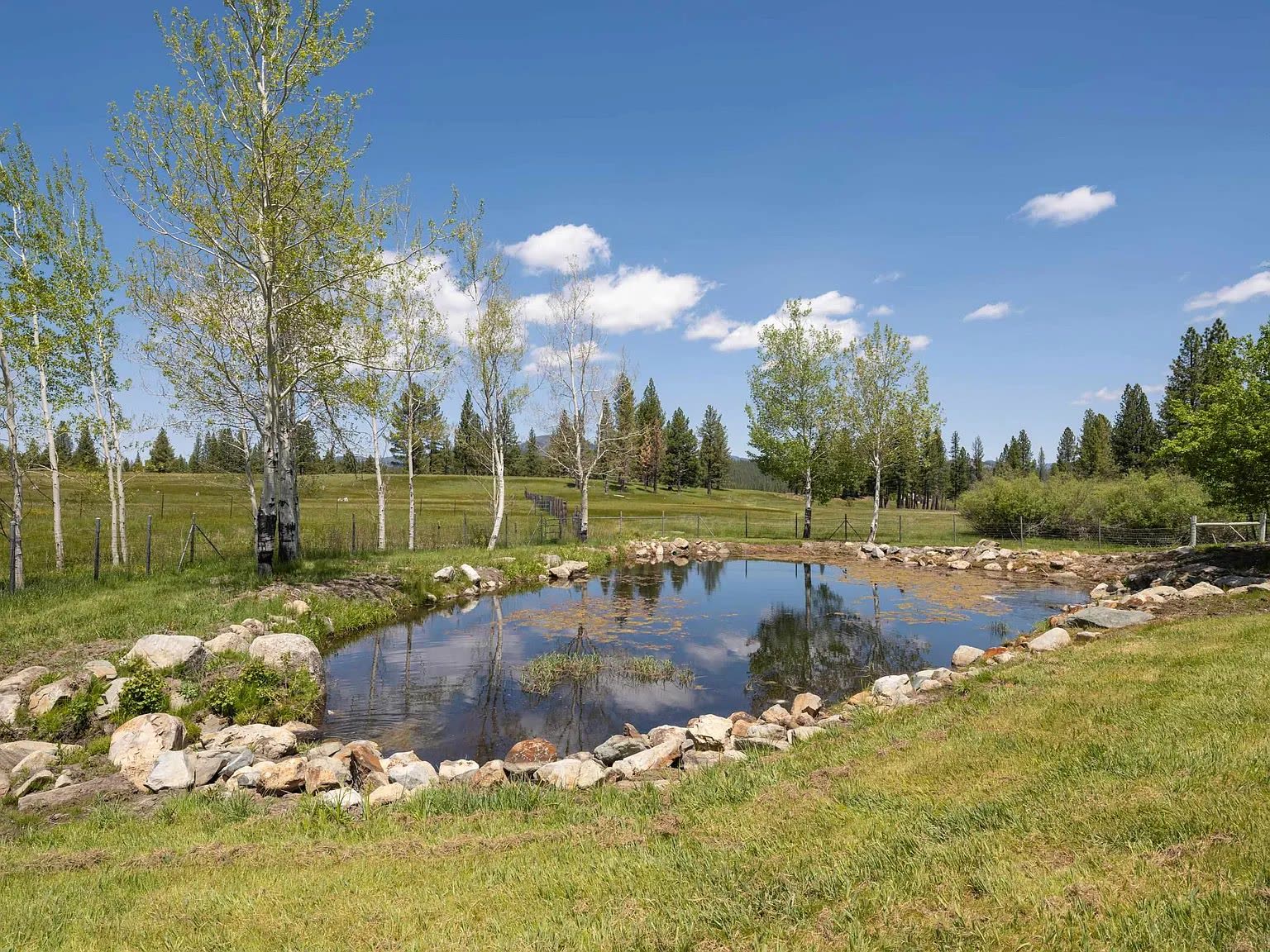 The High Valley Ranch photo 14