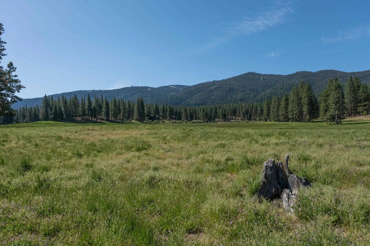 The High Valley Ranch photo 17