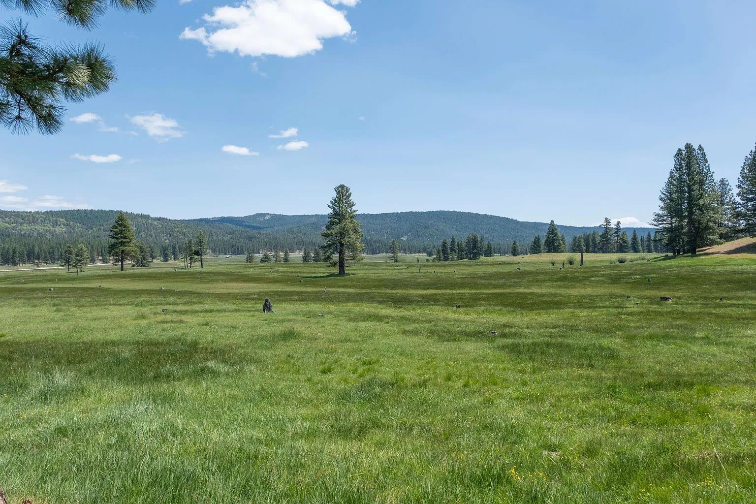 The High Valley Ranch photo 20