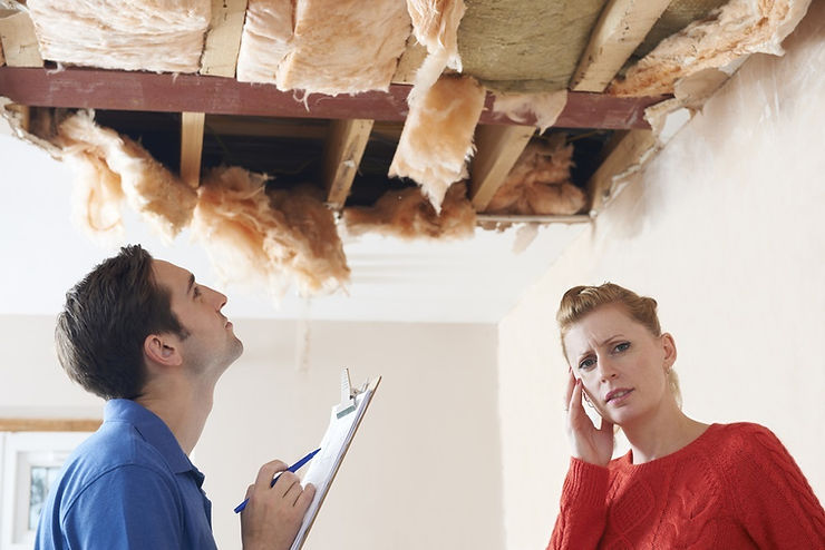 Inspector taking notes beneath a collapsed ceiling with exposed insulation while a concerned homeowner looks on