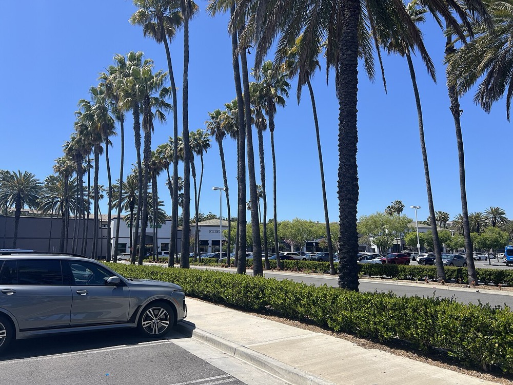 Aliso Viejo Town Center. Naz Mehdi, Aliso Viejo realtor