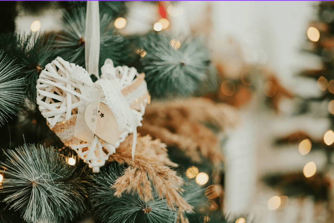 What Are the Must-See Marin County Events This December 2025? | Marin Culture Letter
