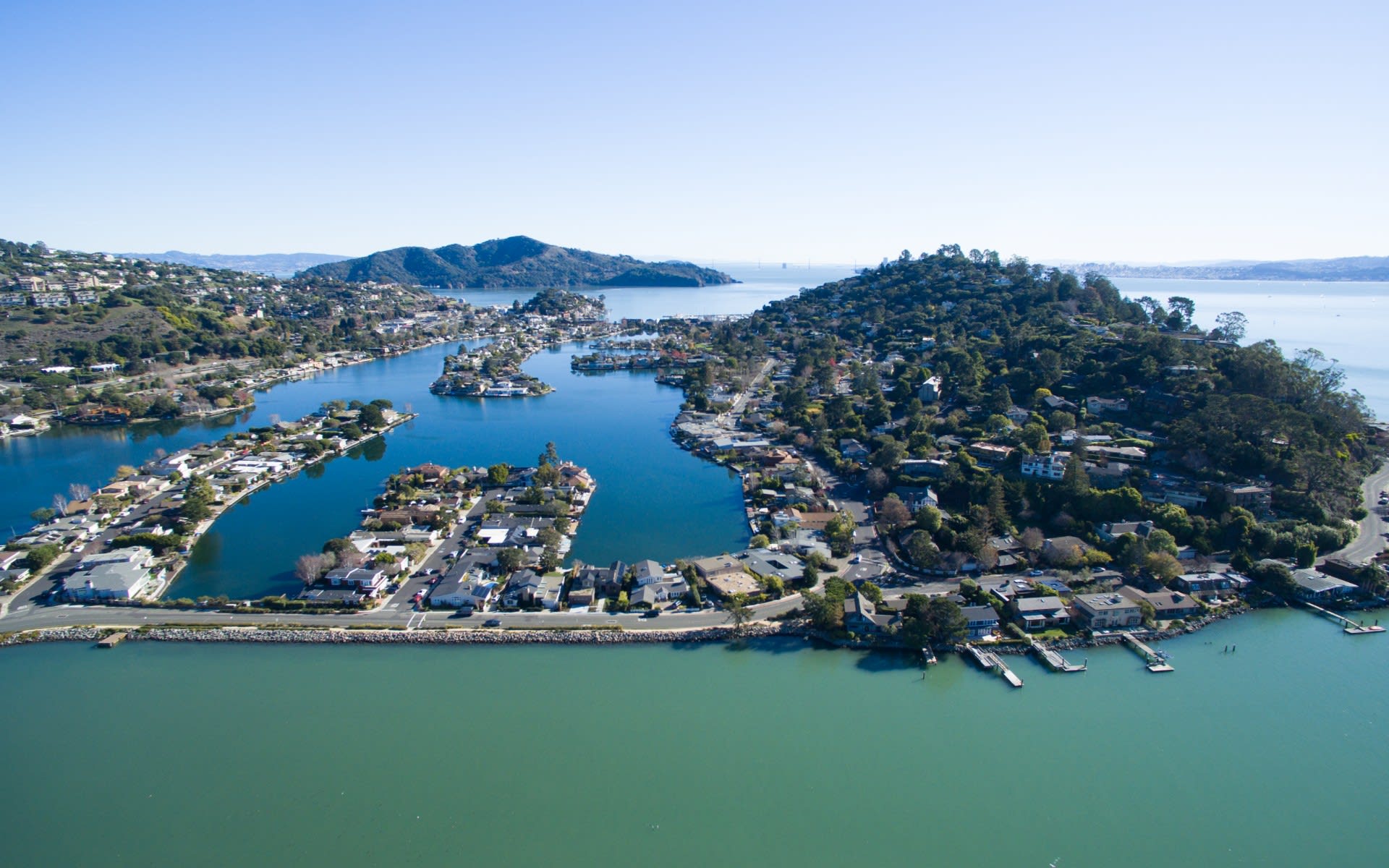 BELVEDERE MARKET UPDATE July 2023