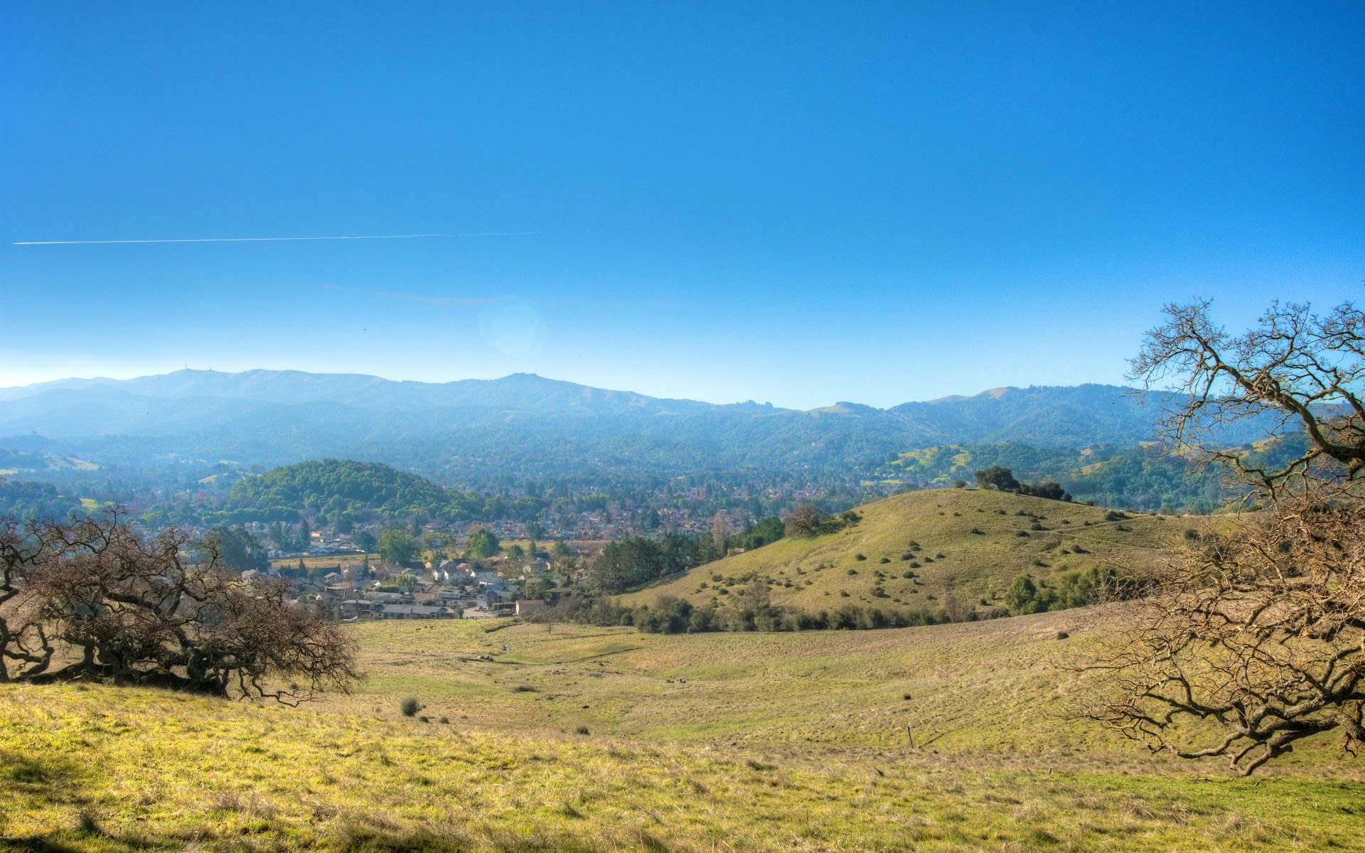 Novato