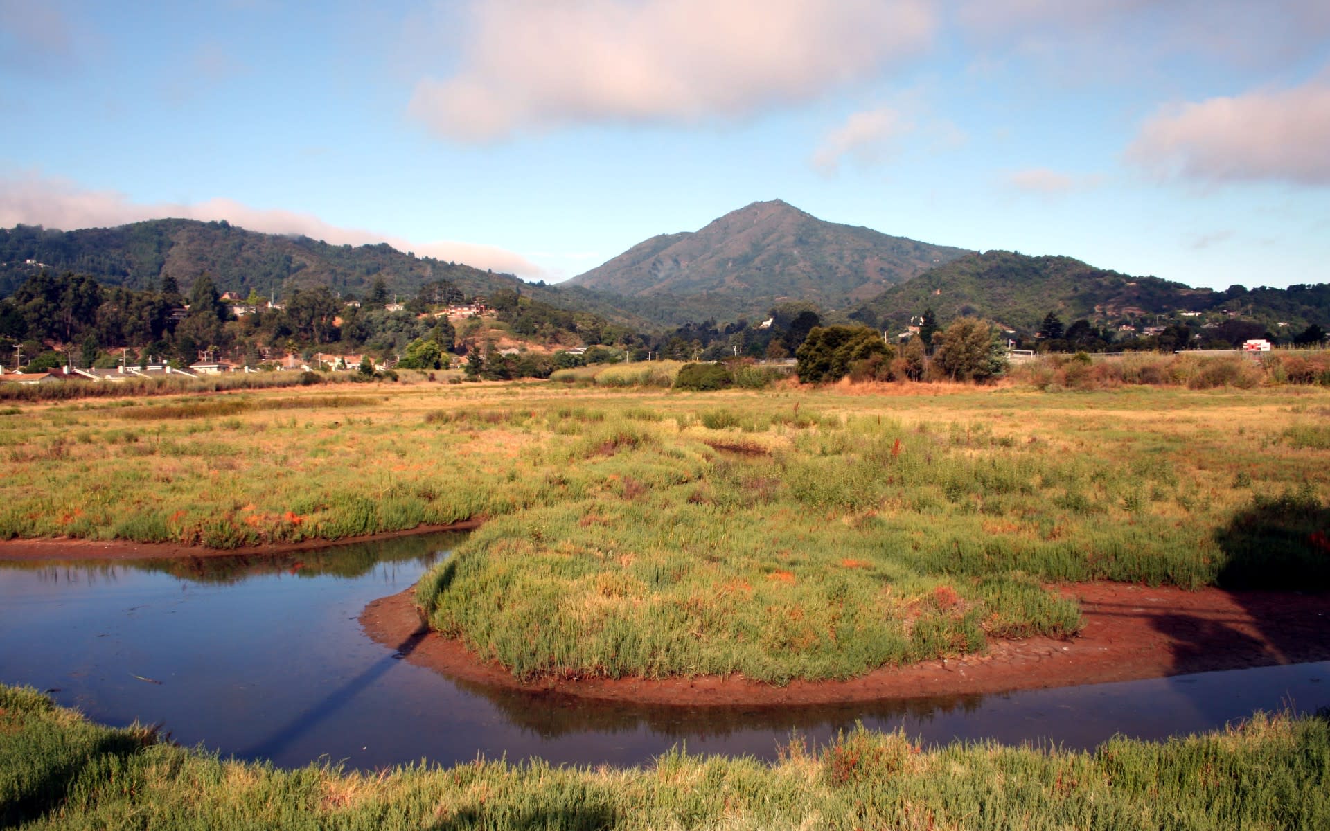 Greenbrae