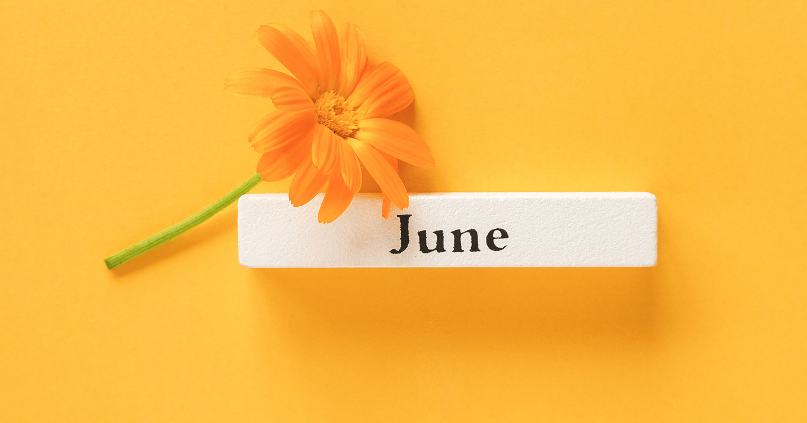 June in Marin: What Not to Miss | Marin Culture Letter
