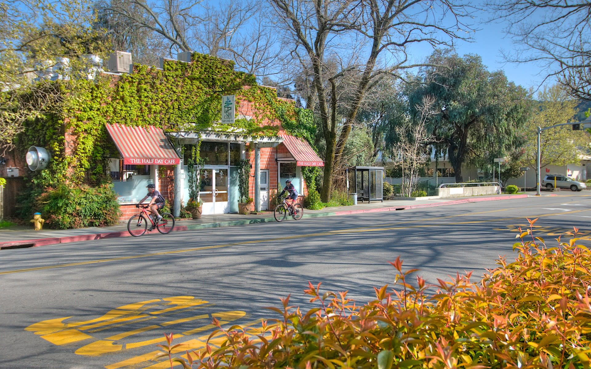 Kentfield Real Estate Market Update July 2023