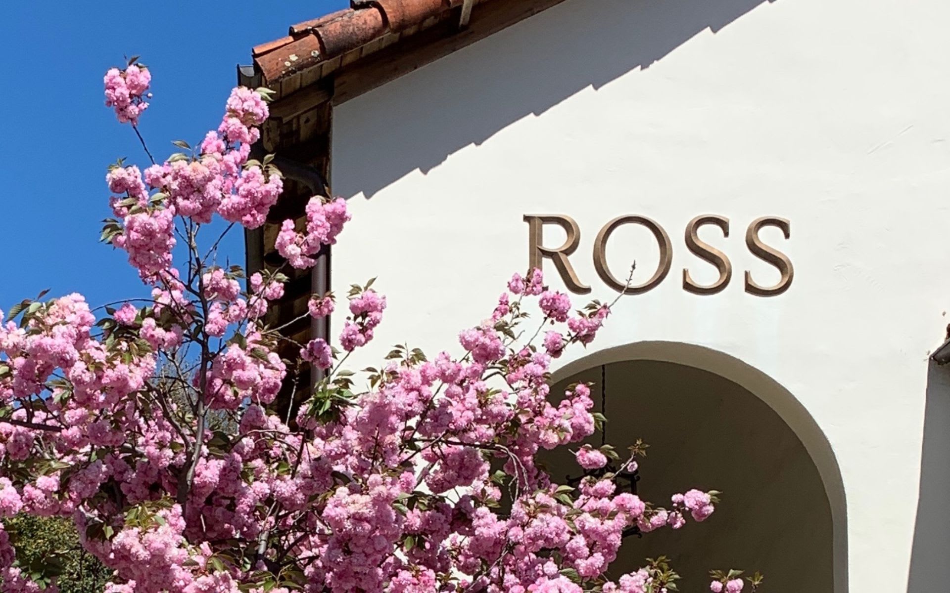 LUXURY MARKET UPDATE: WHAT MAKES ROSS DIFFERENT?