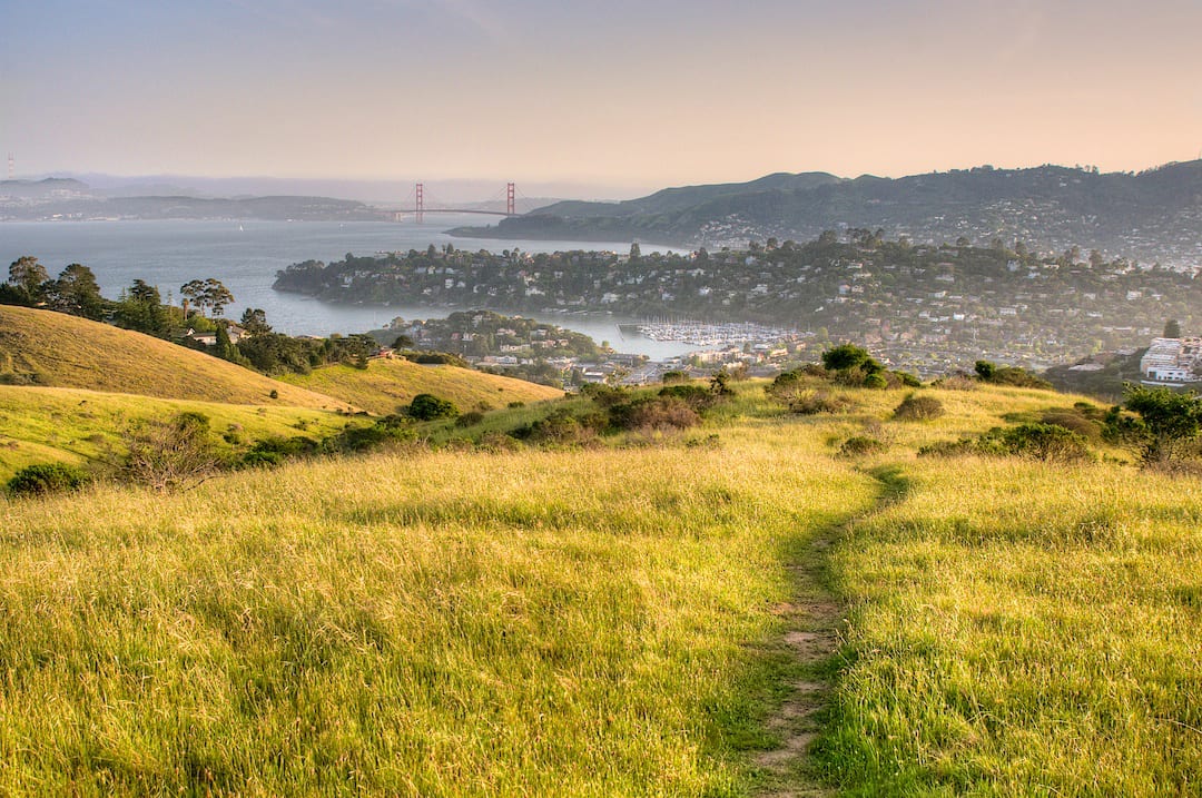 TIBURON REAL ESTATE MARKET REVIEW 2019-2023