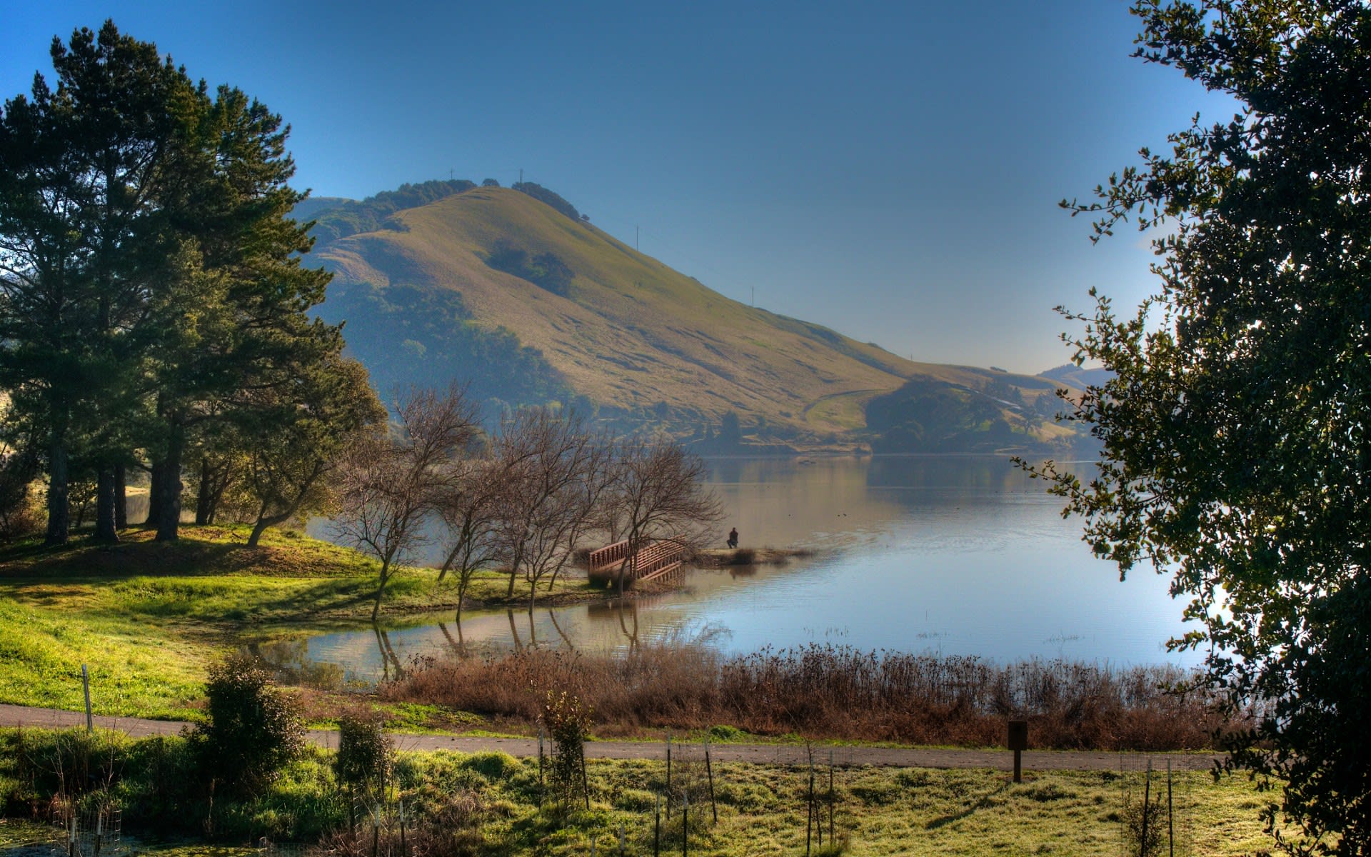 Novato