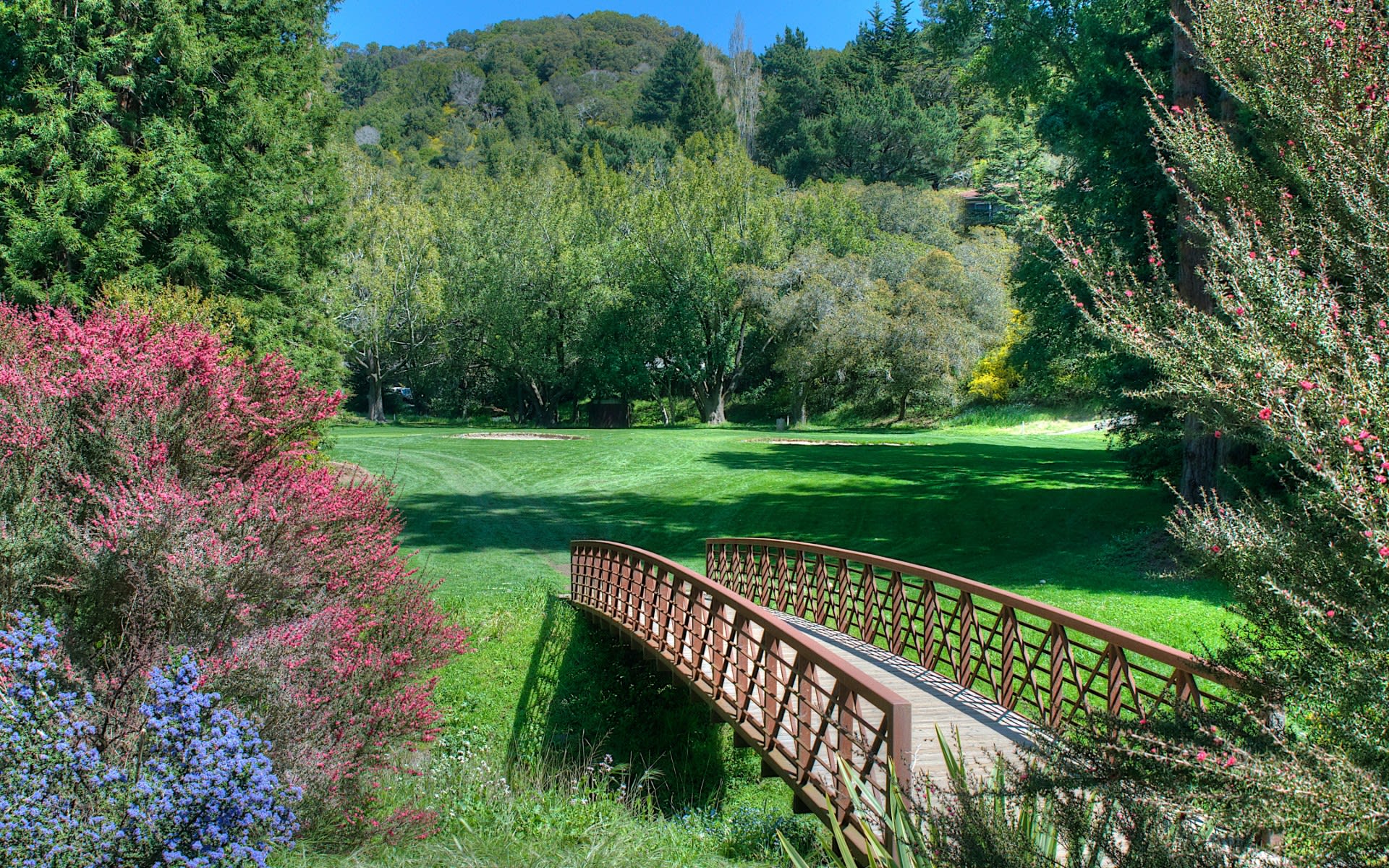 Mill Valley