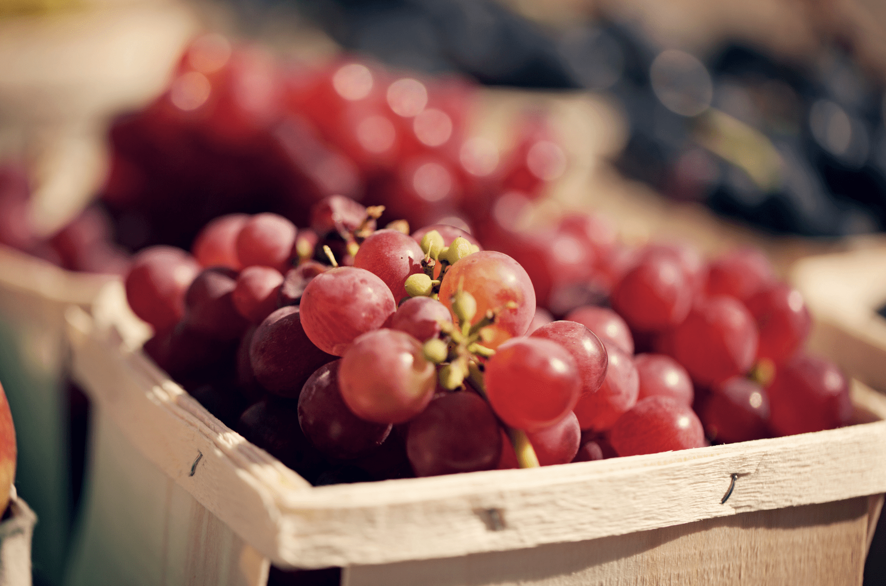 Marin Farmers Markets
