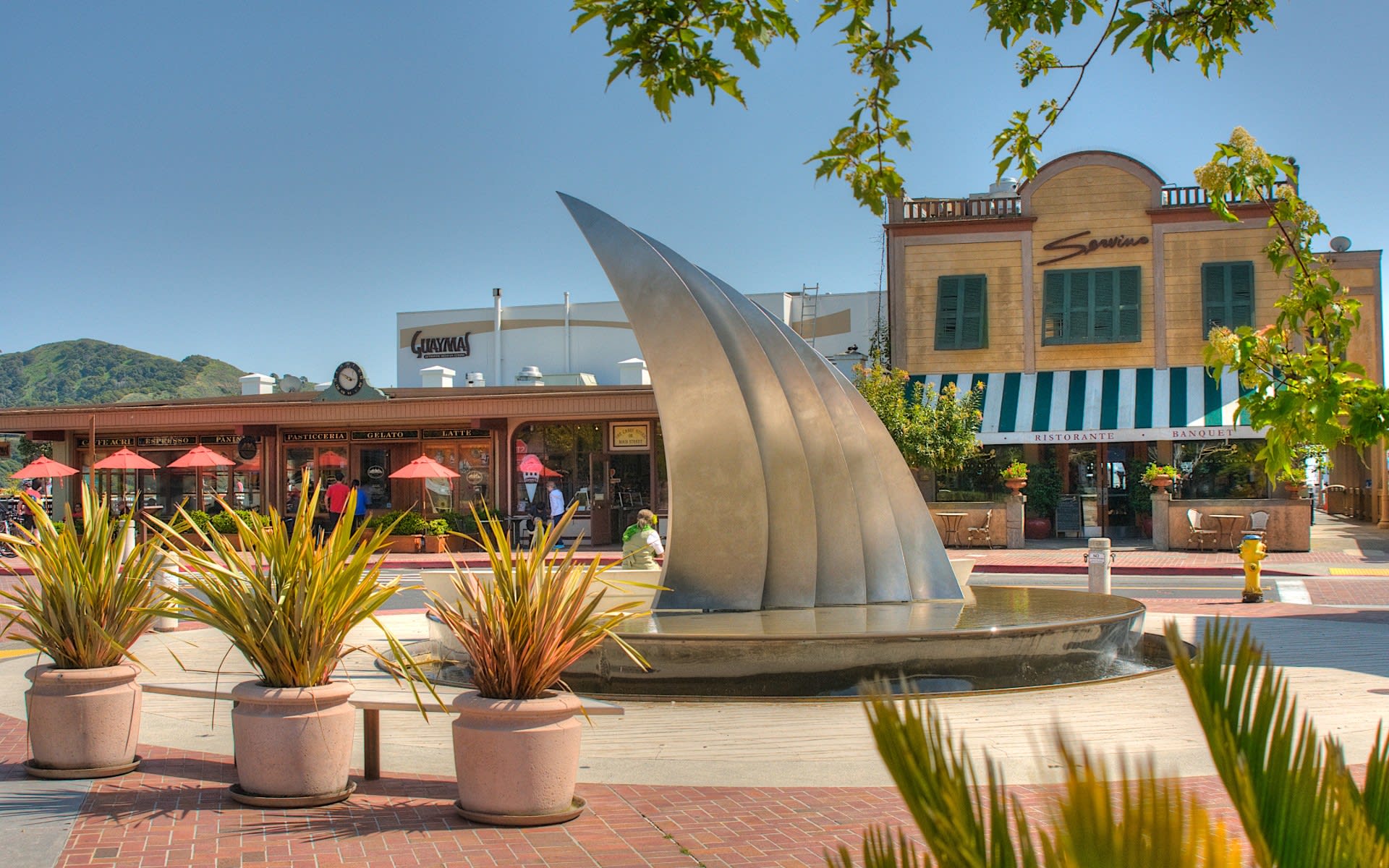TIBURON MARKET UPDATE July 2023